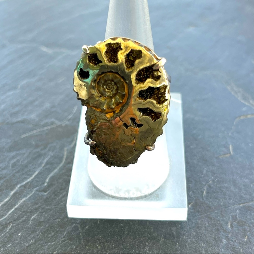 Unique one of a kind Ammonite pyrite Fossil Ring Size 7